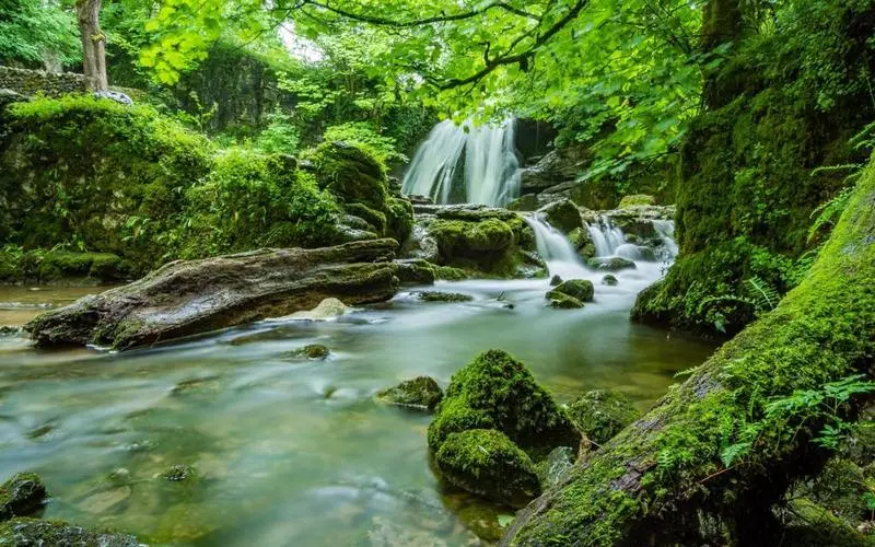 高性能高效全自动